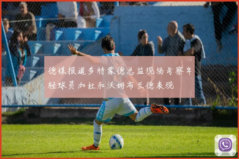 德媒报道多特蒙德总监现场考察年轻球员加杜和沃姆布兰德表现