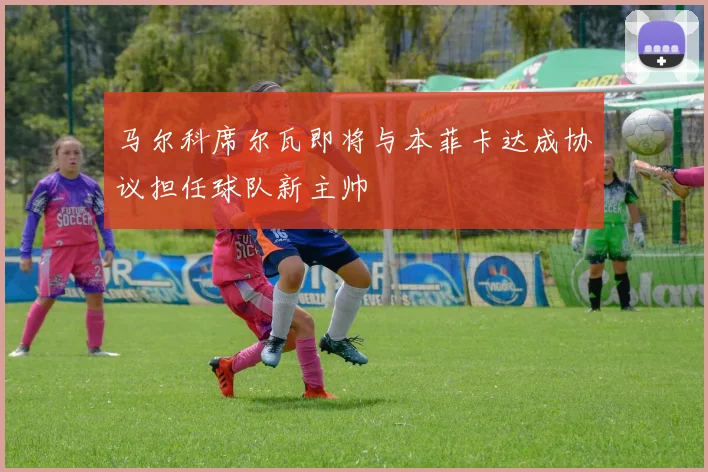 马尔科席尔瓦即将与本菲卡达成协议担任球队新主帅